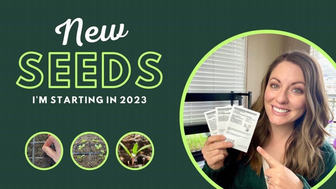 25 Seeds I’m Growing in 2023 | SEEDS TO SOW IN 2023 (For Beginners)
