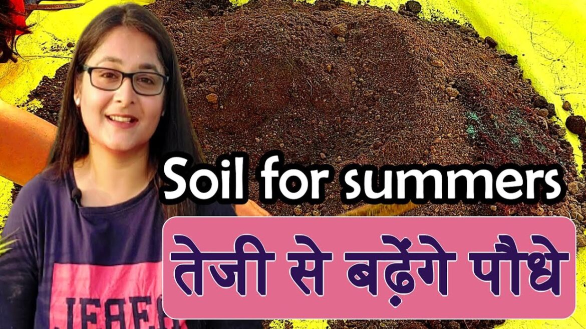 How to prepare perfect and healthy Soil for Summer plants / Basic Gardening - 2/ #soil #gardening