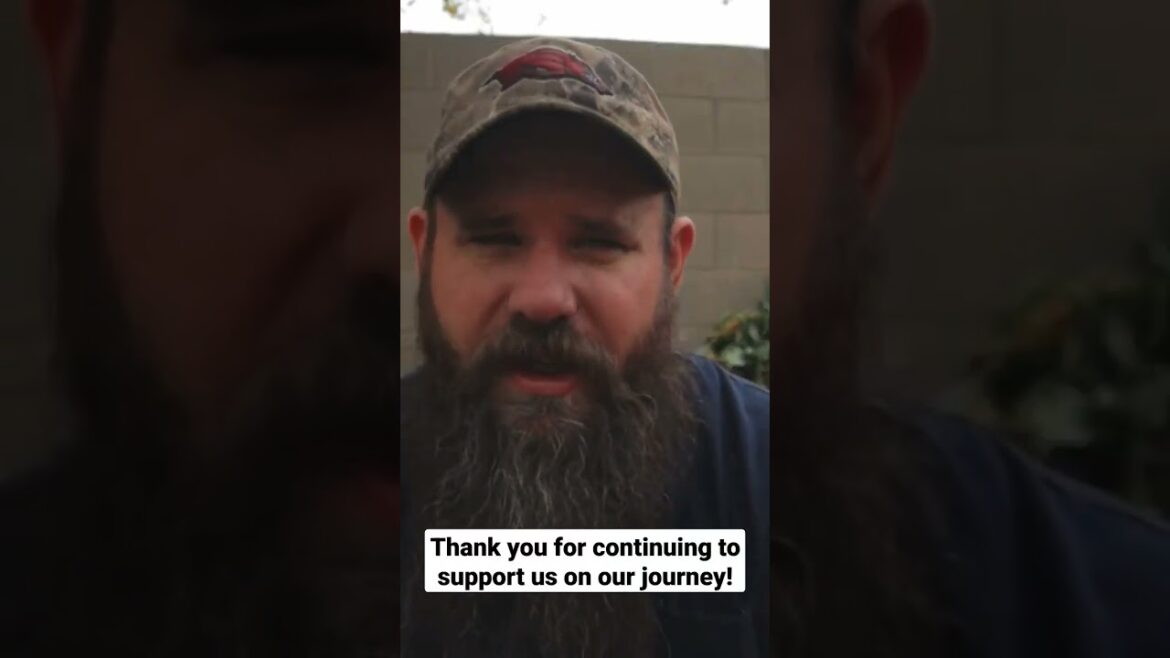 New video out now! Garden and homestead update #vlog #garden #lifestyle