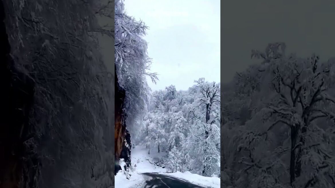 Healling Landscape Beautiful Videos 00037    | Healing Landscape  #shorts #healinglandscape #healing