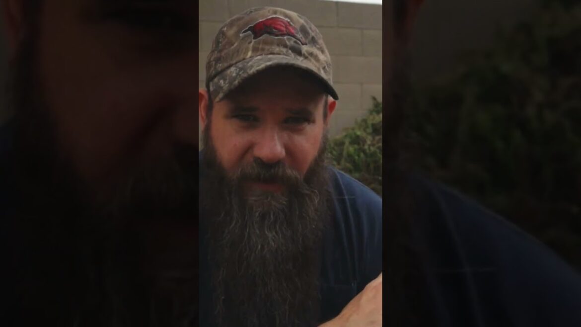 New video out now! Homestead and garden update #vlog #lifestyle #garden New video out now! Homestead and garden update #vlog #lifestyle #garden