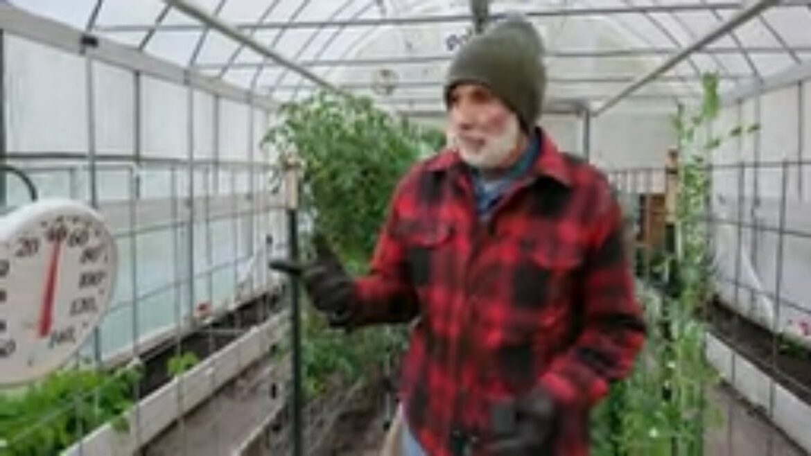 Did We LOSE the PLANTS? Did We LOSE the PLANTS?