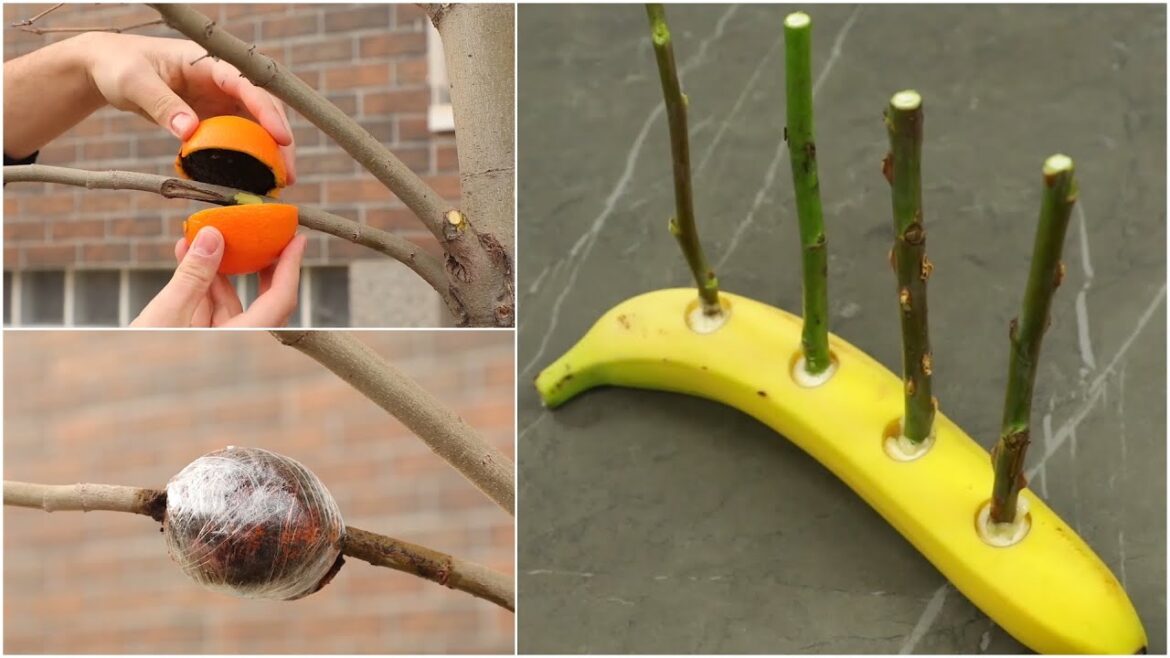 10 INCREDIBLE GARDENING HACKS