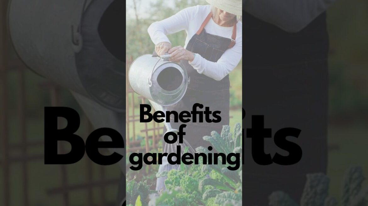 Epic Gardening | container gardening | Benefits of gardening