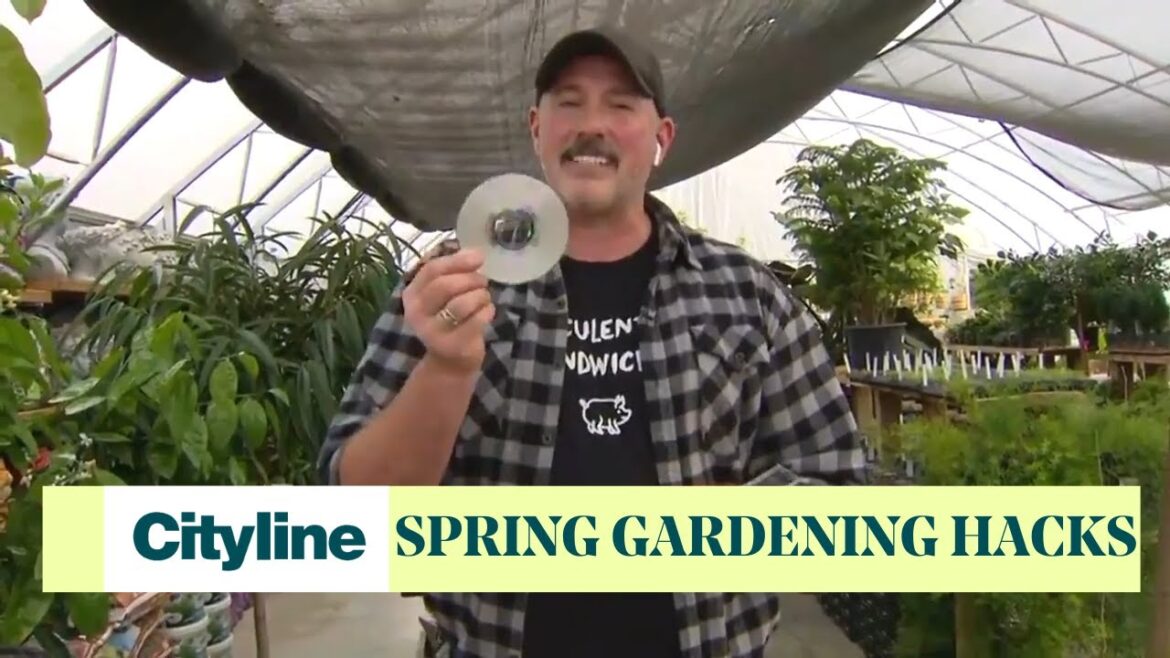 3 DIY spring gardening hacks with household items 3 DIY spring gardening hacks with household items