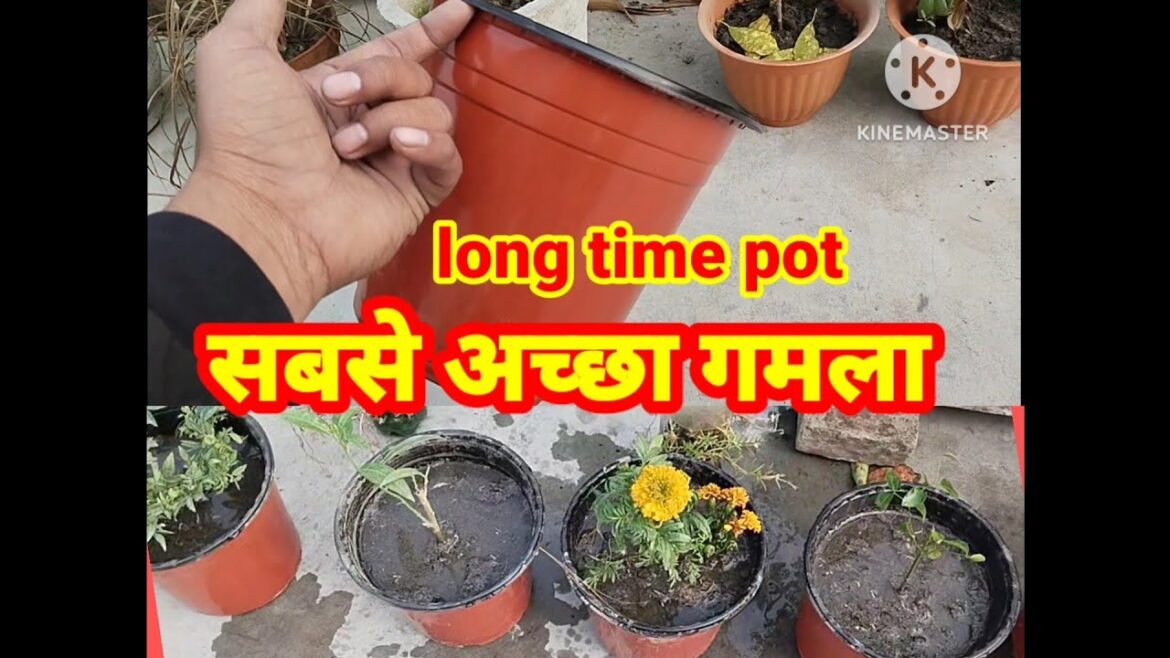 cheapest best plastic pot online wholesale @ easy grow pot shopping / gardening equipment #product