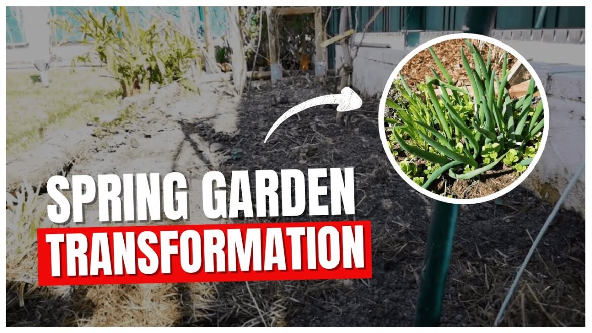 Unbelievable Transformation: Garden in March 2023