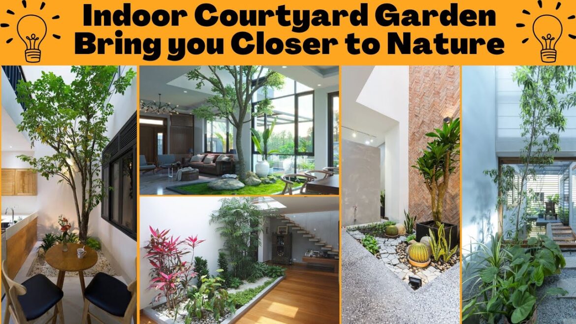 Indoor Courtyard Gardening ideas| Diy interior Ideas| Diy Garden ideas| Indoor #gardening  ideas