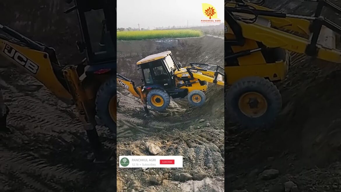 #shorts #farming Farming Video #short #panchkulagri #shorts #farming Farming Video #short #panchkulagri