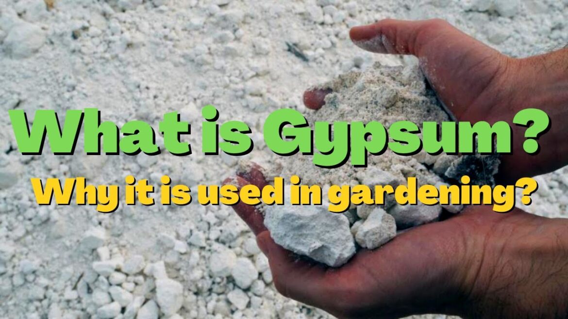 What is Gypsum? Why Gypsum is used in gardening