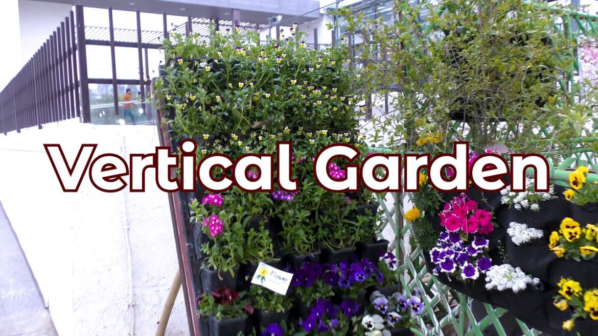 Amazing Vertical Garden Ideas for Home | Vertical Gardening | Gardening Ideas