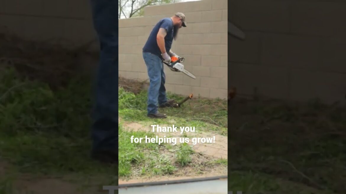 New video out now! Homestead and garden update #garden #vlog #lifestyle