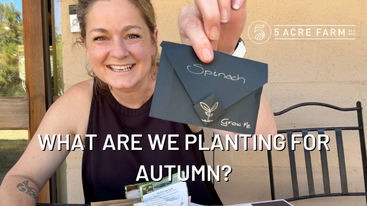 Autumn Vegetable Garden Prep // Planning Autumn & Winter Seeds // Veggie Garden Prep Autumn Vegetable Garden Prep // Planning Autumn & Winter Seeds // Veggie Garden Prep