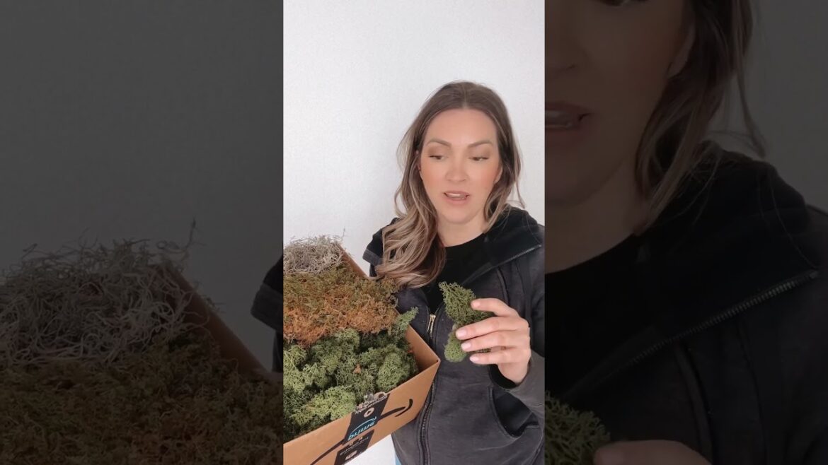 Use Moss to Reduce Floral Costs