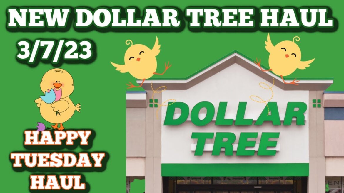 NEW DOLLAR TREE HAUL π€ 3/7/23 HAPPY TUESDAY HAUL NEW DOLLAR TREE HAUL π€ 3/7/23 HAPPY TUESDAY HAUL