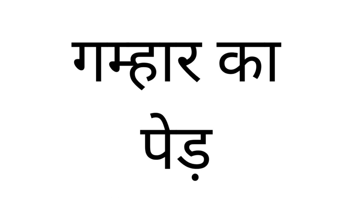 खेती कैसे करें | kitchen garden | जैविक खेती | terrace gardening | organic farming | gardening tips खेती कैसे करें | kitchen garden | जैविक खेती | terrace gardening | organic farming | gardening tips