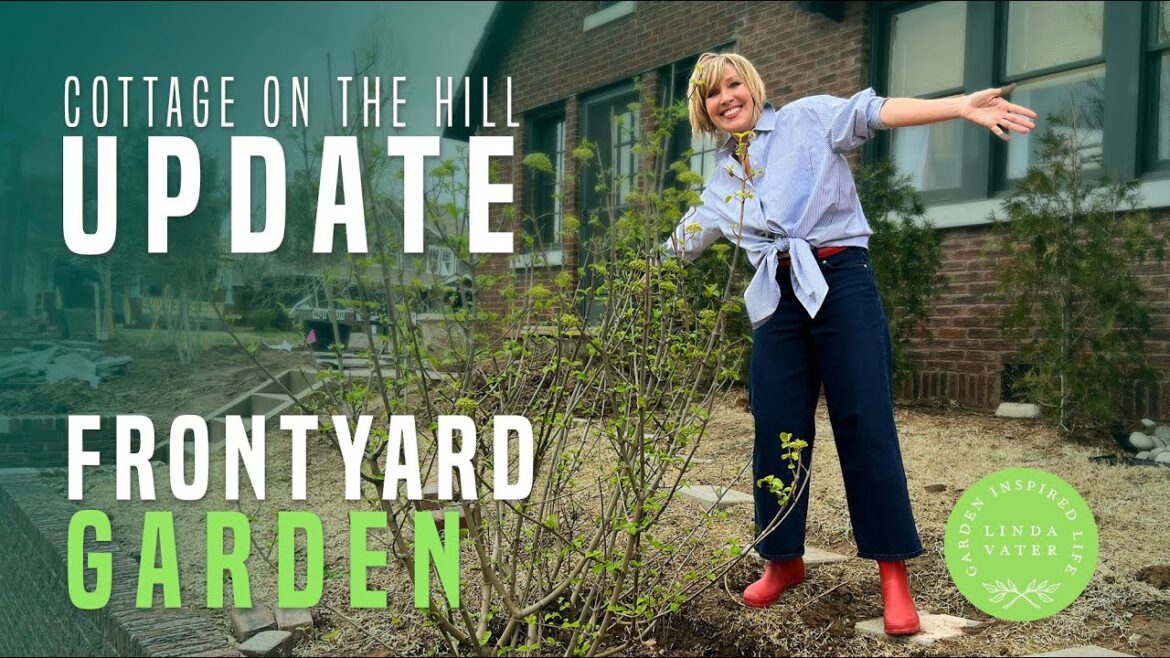 Front Yard Garden Update at Hill Cottage Front Yard Garden Update at Hill Cottage