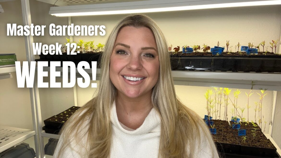 How to Identify and Deal with WEEDS! 🌿 :: Master Gardeners Training Recap Week 12! How to Identify and Deal with WEEDS! 🌿 :: Master Gardeners Training Recap Week 12!
