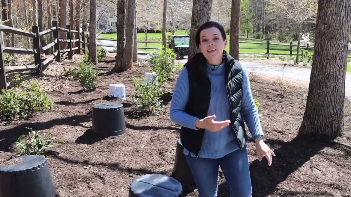 Behind the Scenes Projects | Gardening with Creekside Behind the Scenes Projects | Gardening with Creekside