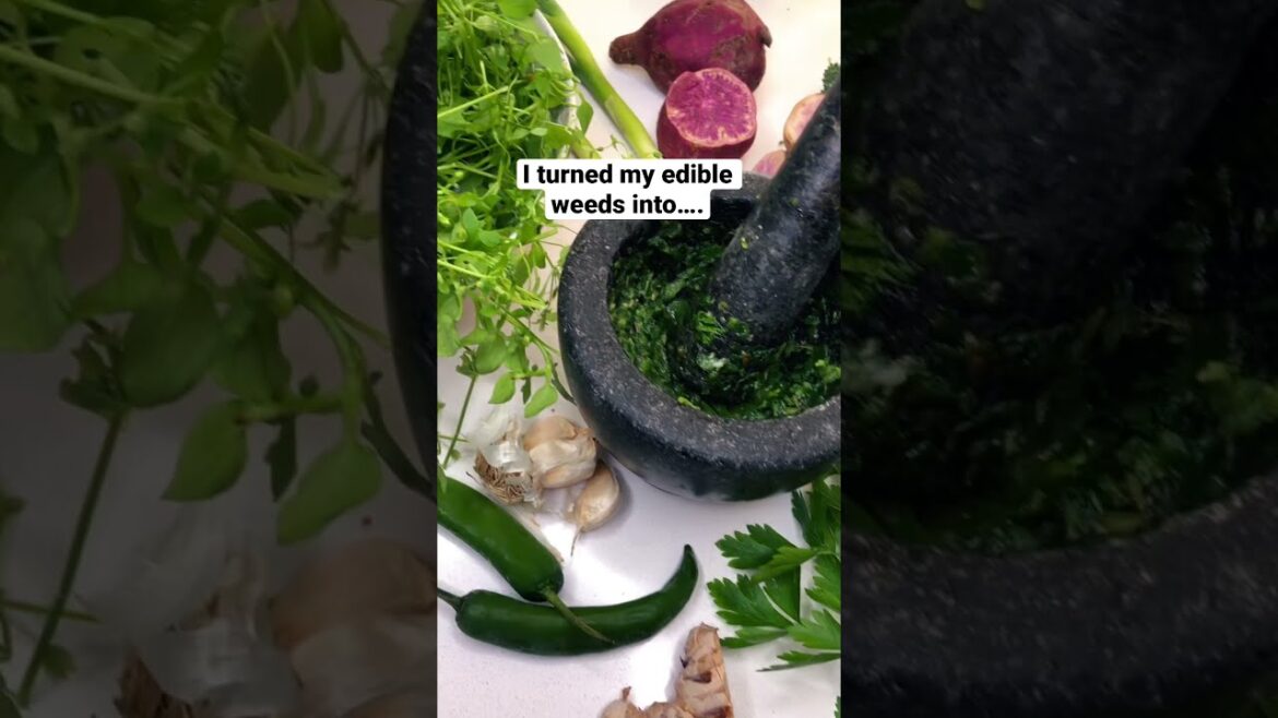 I Turned my Edible Weeds into….