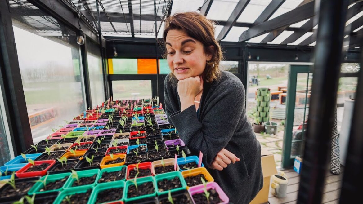 I hate killing seedlings. (This Vlog is Full of Gardening Tips)