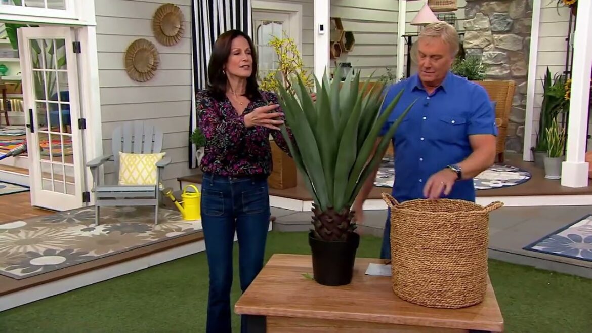 Garden Reflections 40″ Tall Faux Agave Outdoor Plant in Pot on QVC Garden Reflections 40" Tall Faux Agave Outdoor Plant in Pot on QVC