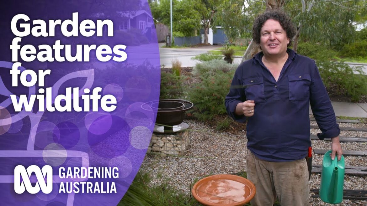 Tips for creating wildlife habitats in your garden | Australian native plants | Gardening Australia