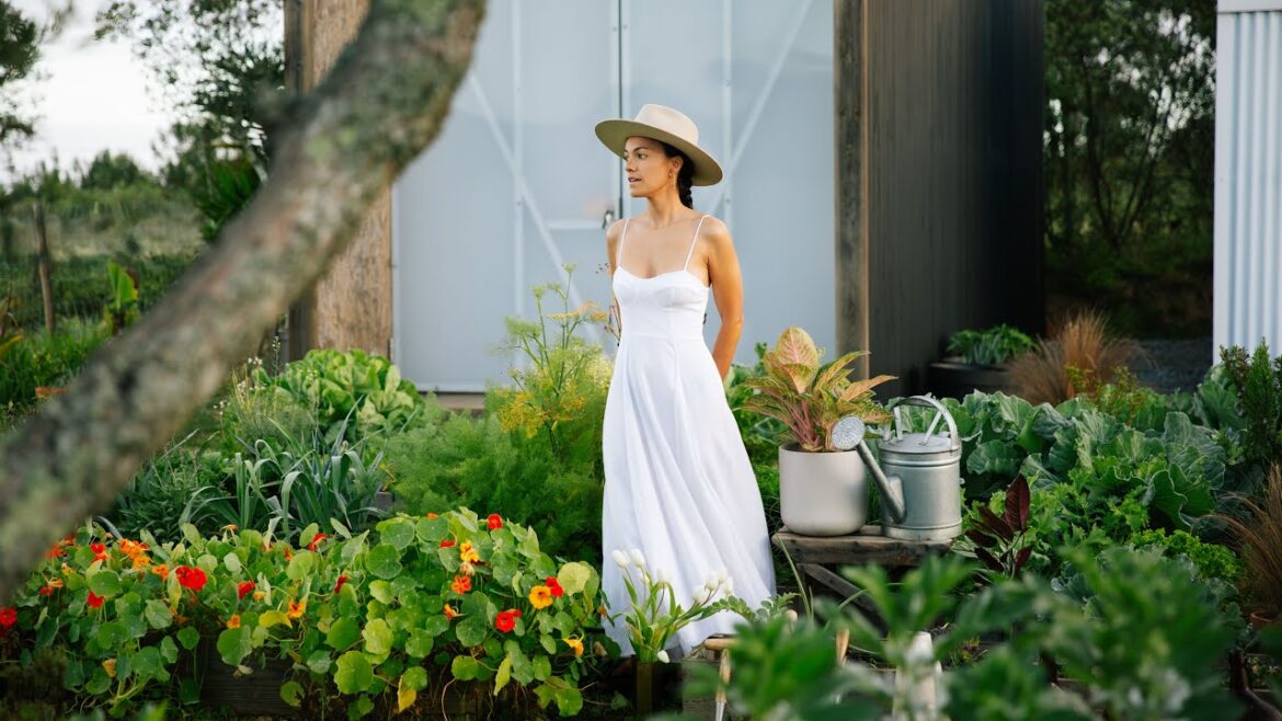 YEAR TWO: Living Off Grid & Growing a Vegetable Garden