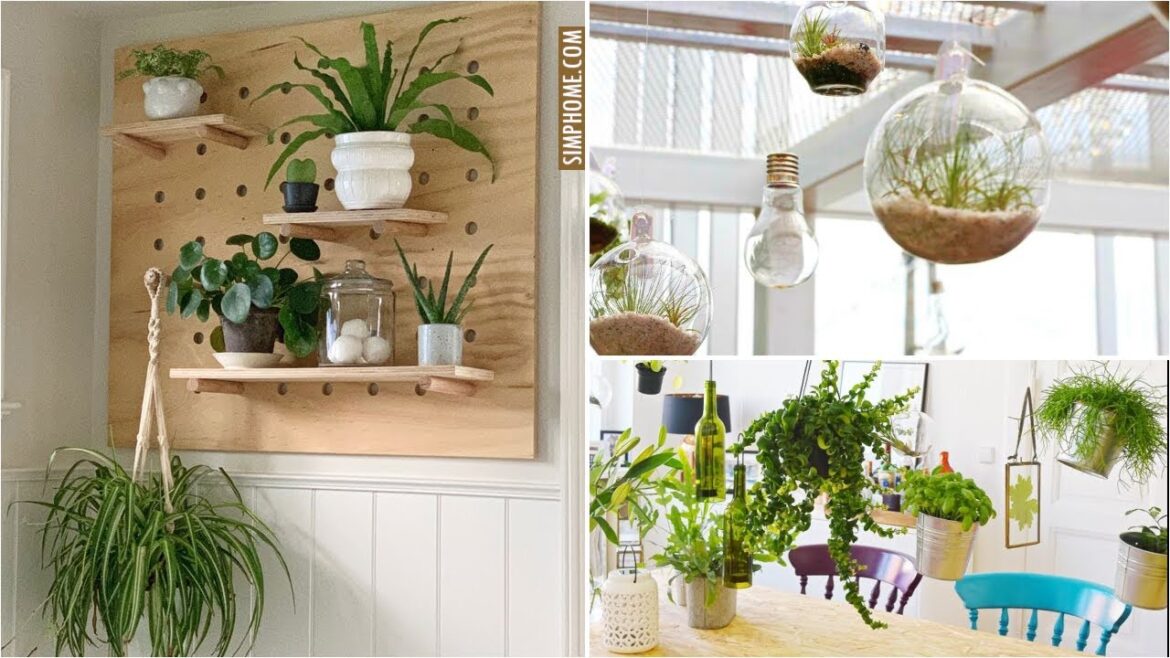 10 Indoor Floating Garden Ideas 10 Indoor Floating Garden Ideas