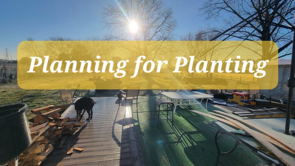 What I'm using to mark my vegetables... and other garden plans.