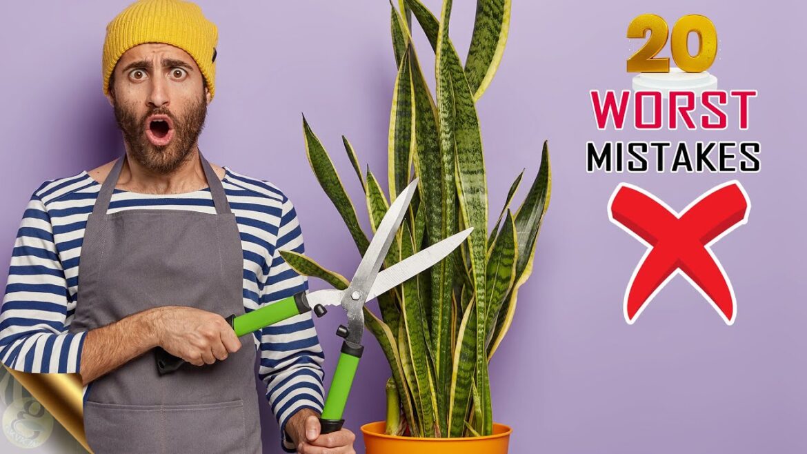 20 WORST MISTAKES IN GARDENING – Unknowingly? | GARDEN TIPS