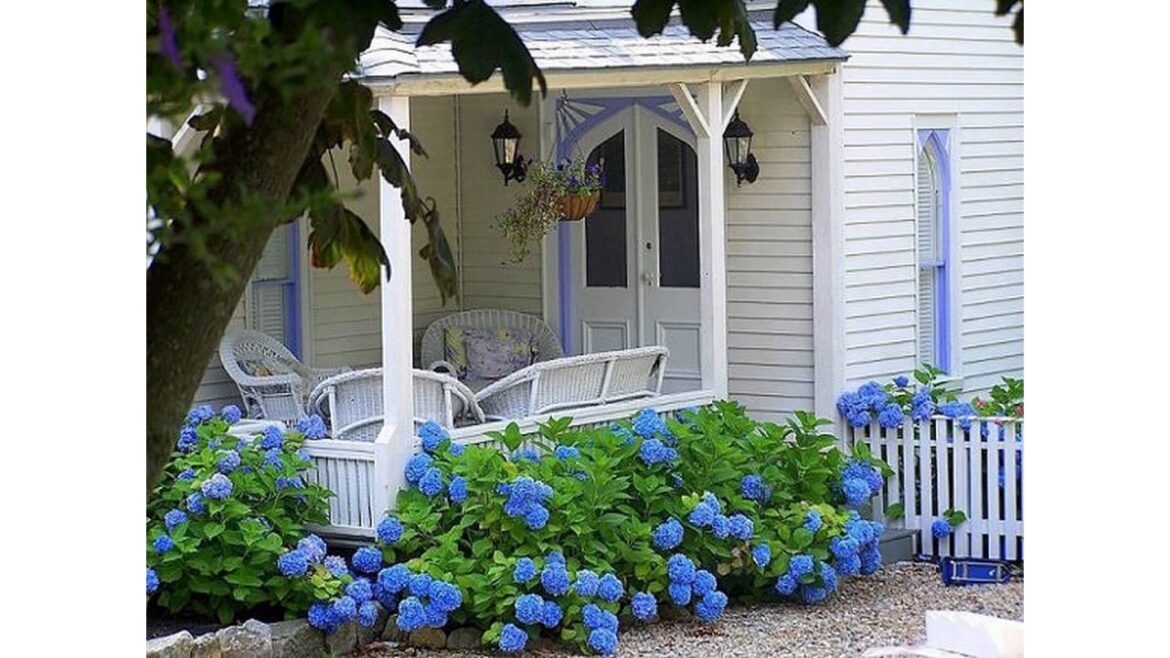 Small cottage garden ideas
