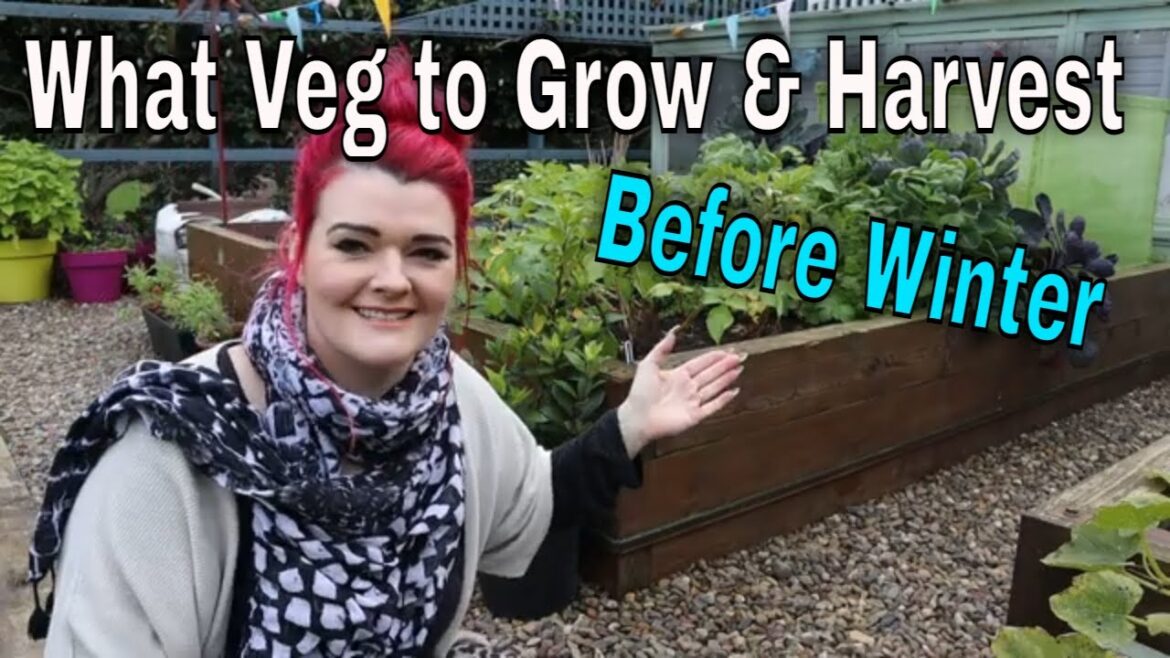 October Gardening Tips, Ideas & Help / Growing Veg in Scotland / MoggyBoxCraft