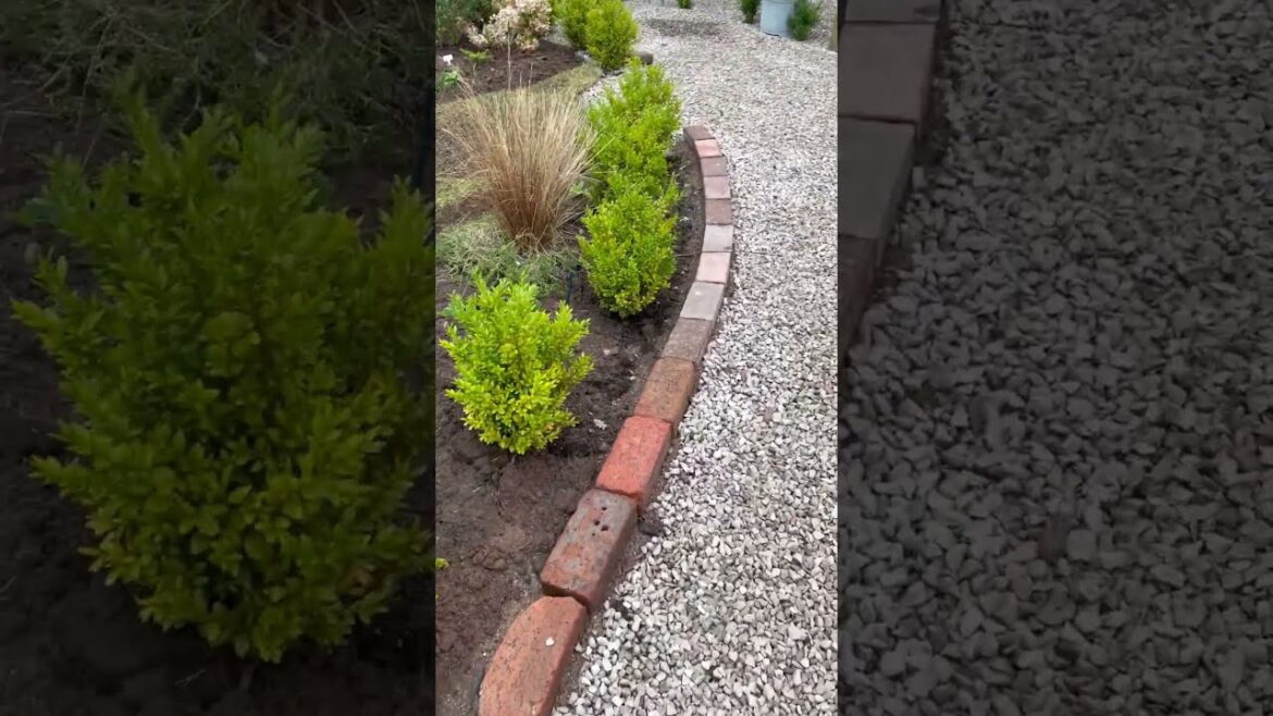 UK - Front garden work in progress - March