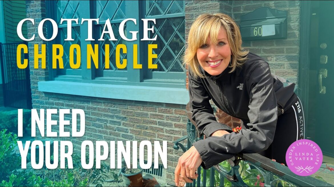 I Need Your Opinion: What Color Would You Choose?