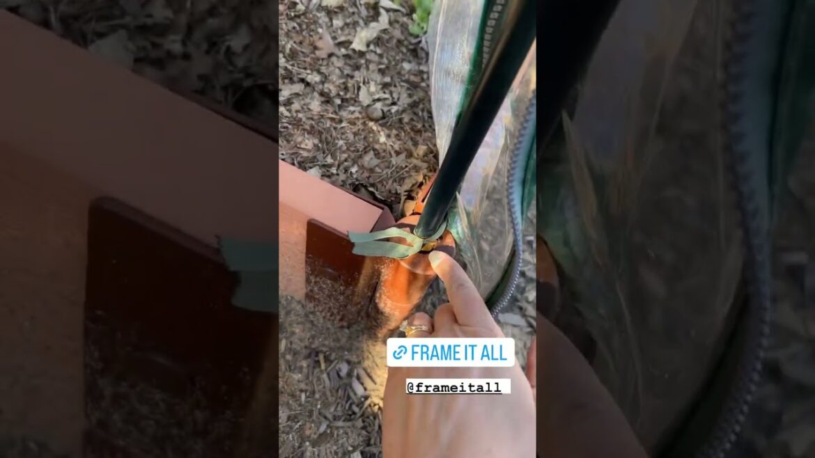 Home Garden Greenhouse Build: How To Protect Your Plants From Freezing Weather Home Garden Greenhouse Build: How To Protect Your Plants From Freezing Weather