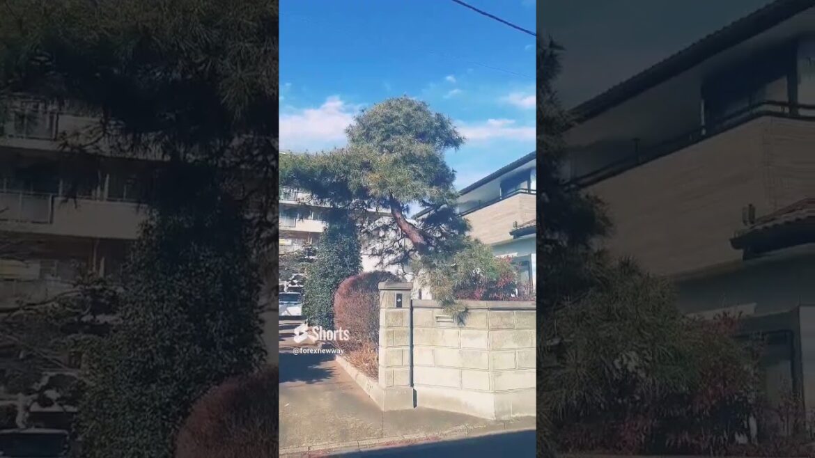 Japanese garden entrance