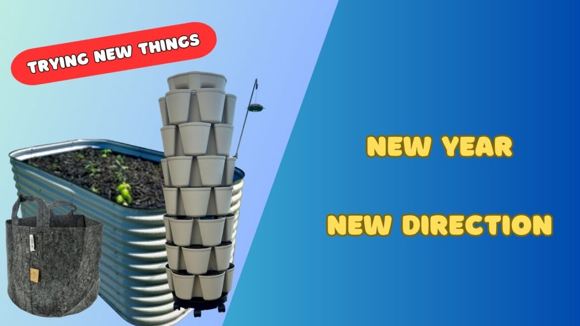 Container and raised bed garden.