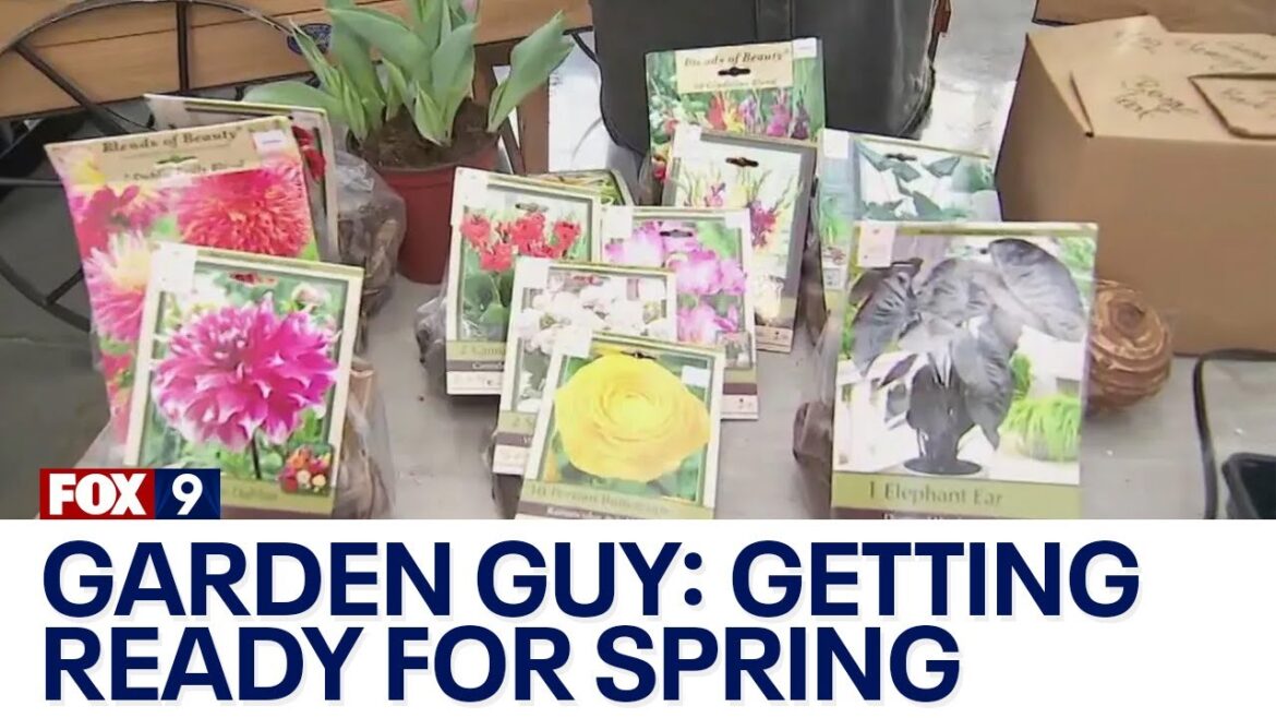 Getting in the spirit for spring: Garden Guy