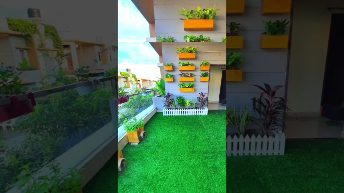 terrace garden design|| terrace garden ideas|| terrace garden tips|| short video terrace garden design|| terrace garden ideas|| terrace garden tips|| short video