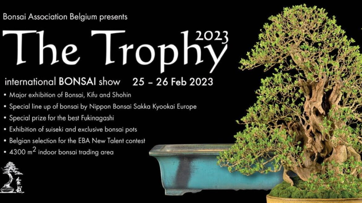 Trophy bonsai 2023 (avant première) Trophy bonsai 2023 (avant première)