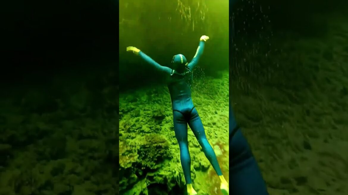 Healling Landscape Beautiful Videos 00041 | Healing Landscape #shorts #healinglandscape #healing Healling Landscape Beautiful Videos 00041 | Healing Landscape #shorts #healinglandscape #healing