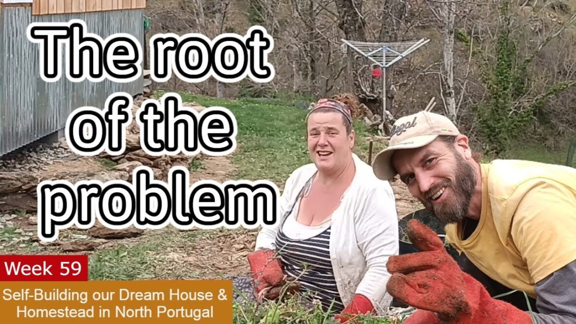 Backyard Landscaping START - 4 NEW Rustic Stone Terraces made with our Homestead's property line 💥 😲