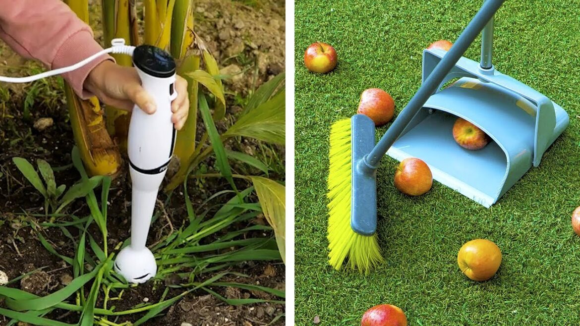 Amazing Plant Growing Hacks And Gardening Tips