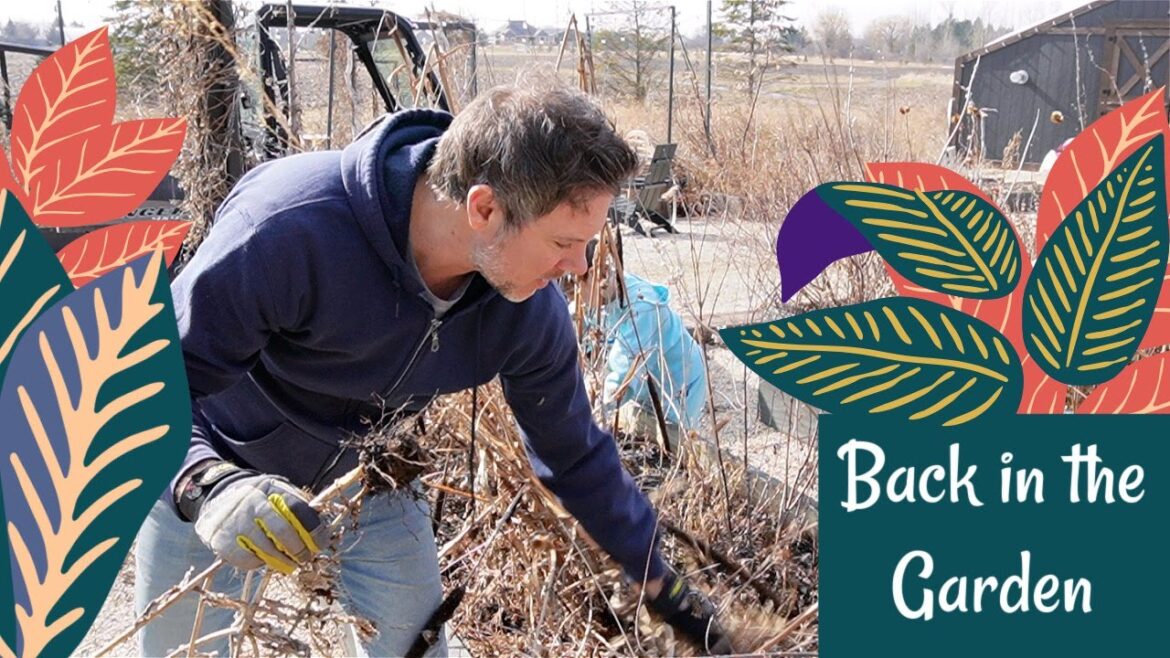 Back In the Garden & What a Mess In the Front Yard Back In the Garden & What a Mess In the Front Yard