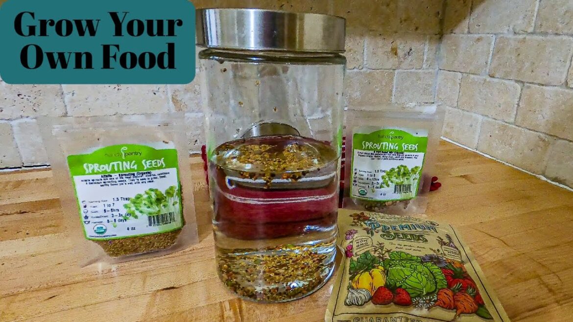 Countertop Micro Gardening, Grow Your Own Food.