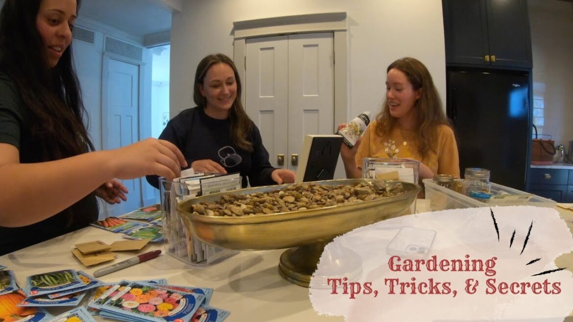 First Time Gardener Tips, Tricks, & Secrets First Time Gardener Tips, Tricks, & Secrets