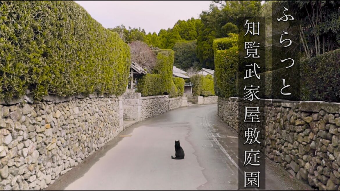 知覧武家屋敷庭園を歩く(鹿児島県)/Walking Through Chiran Sumurai Residence Garden (Kaogoshima,Japan) 知覧武家屋敷庭園を歩く(鹿児島県)/Walking Through Chiran Sumurai Residence Garden (Kaogoshima,Japan)