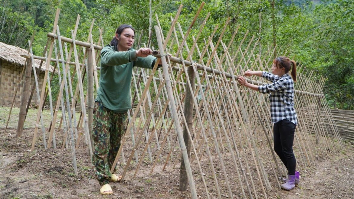 Vegetable gardening and table setting, farm life, survival alone