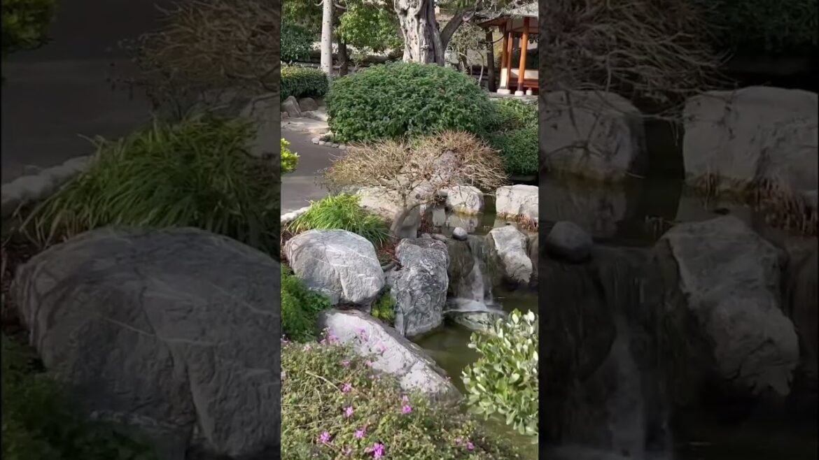 One Day in Monte-Carlo | 4K | The Japanese Garden – Monaco | Avenue Princesse Grace One Day in Monte-Carlo | 4K | The Japanese Garden - Monaco | Avenue Princesse Grace